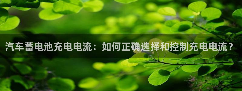 优发国际手机客户端下载安装手机版