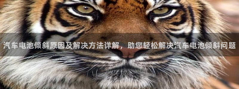 优发国际平台u8怎么样