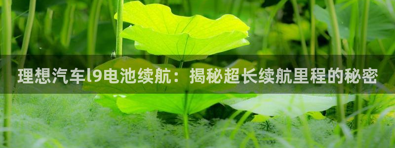 优发国际手机版客户端下载