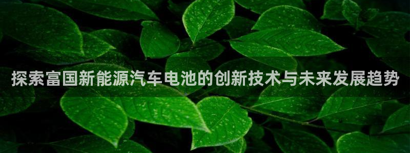 优发国际的官网是