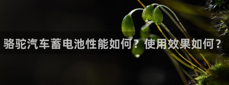 优发国际首页