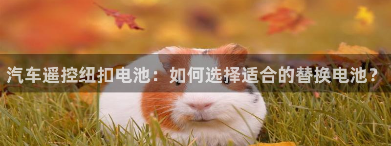 优发国际网页