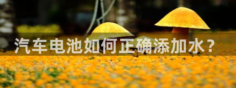 优发国际合并到哪里了啊