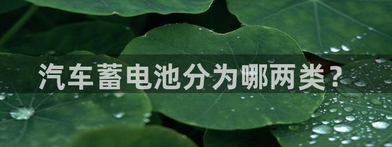 优发国际是真的吗