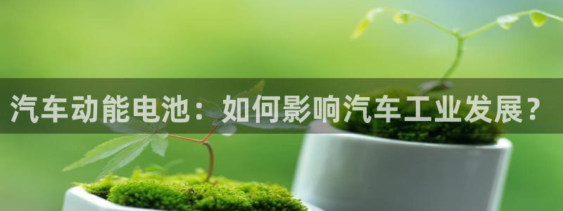 优发国际手机版唯一官网