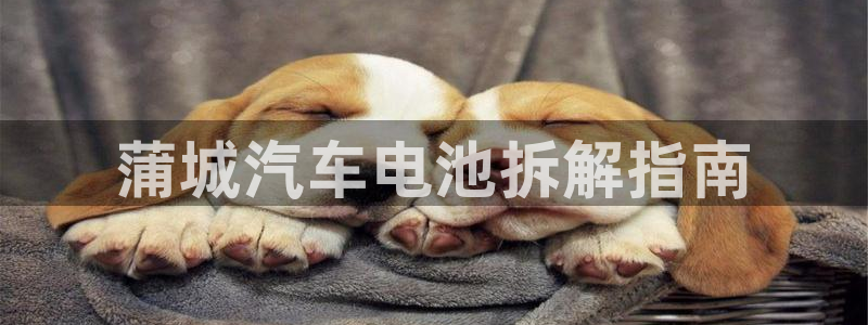 优发国际不出款了吗
