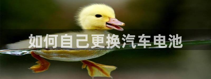 优发国际官网是多少