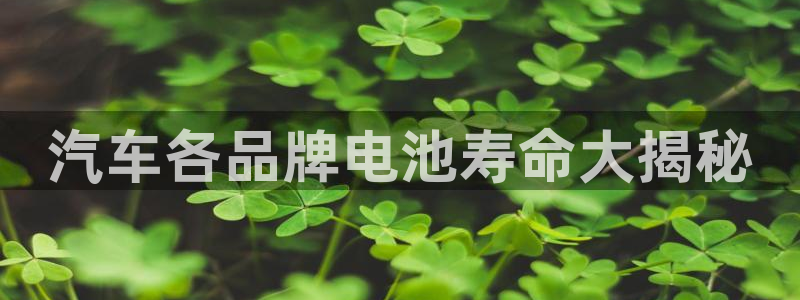 优发国际手机客户端下载安卓