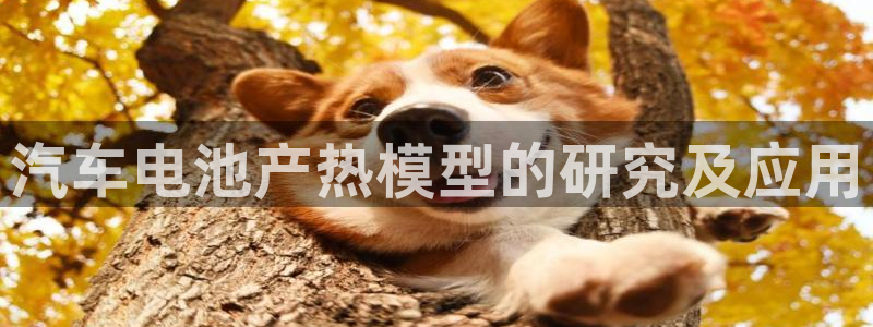 优发国际多少