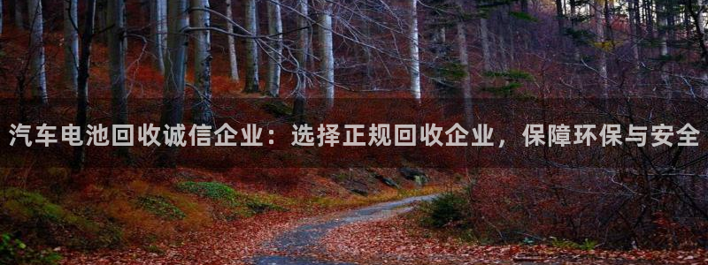 优发国际电话：汽车电池回收诚信企业：选择正规回收企业，保障环保与安全