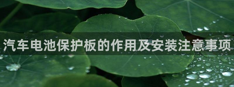 优发国际官方网平台电话
