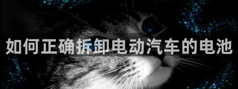 优发国际是合法的吗
