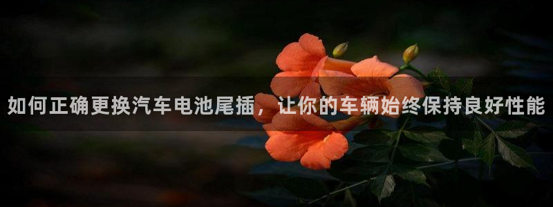 优发国际手机客户端怎么下载