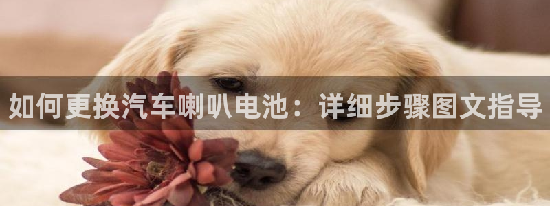 优发国际平台g8