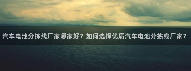 优发国际手机安装登录不了：汽车电池分拣线厂家哪家好？如何选择优质汽车电池分拣线厂家？