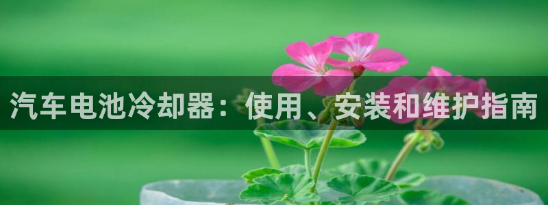 优发国际VIP网址