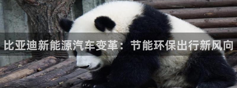 优发国际的官网是正品吗