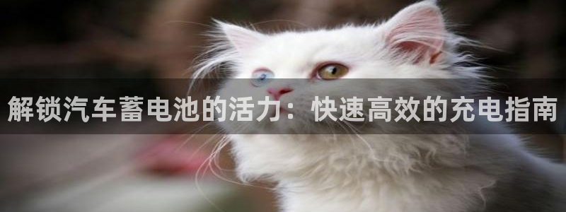 优发国际不出款怎么办