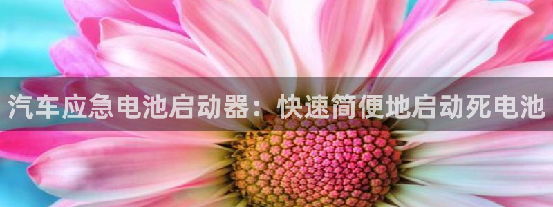 优发国际是大平台吗是真的吗