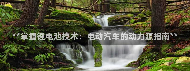 优发国际官网是多少号码