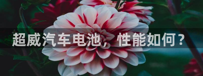 优发国际随优而动一触即发