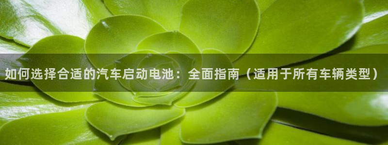 优发国际手机版网站下载