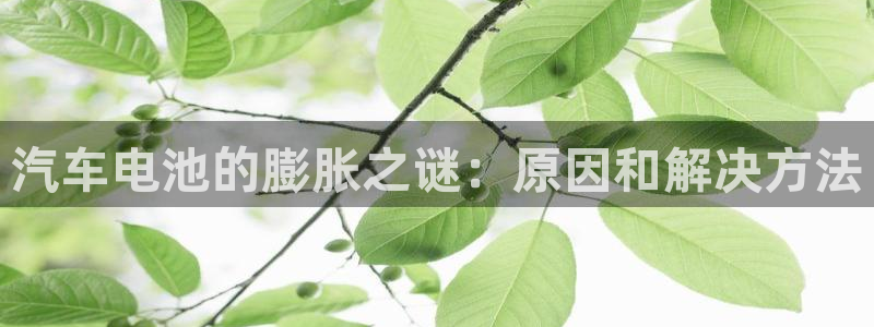 优发国际官网下载安装