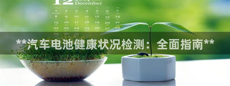 优发国际是大平台吗还是小平