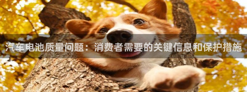 优发国际游戏n