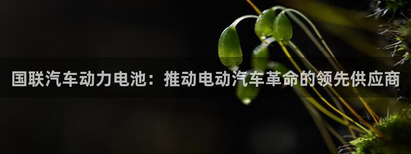优发国际-触即发