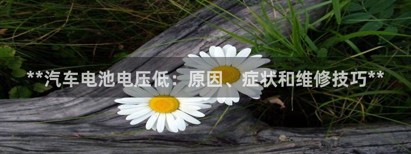 优发国际官网手机版入口