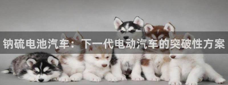 优发国际官网下载