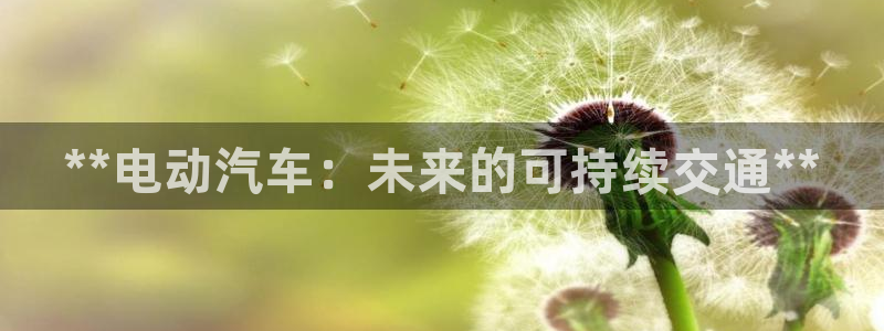 优发国际客服联系方式查询