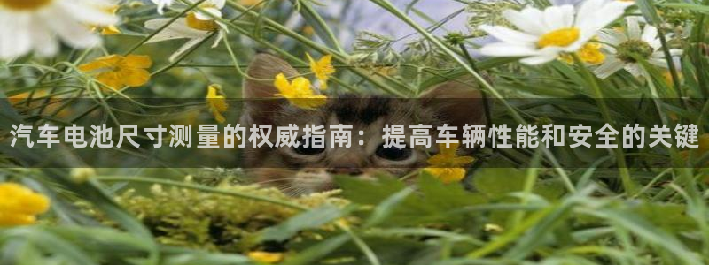 优发娱乐国际线上