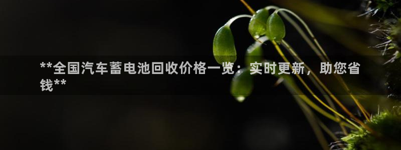 优发国际