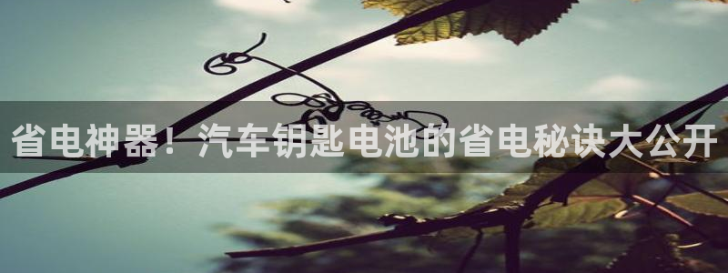 优发国际平台