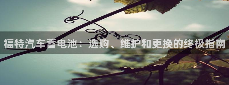 优发国际手机版网站