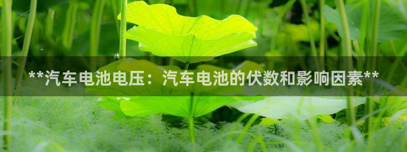 优发国际官网下载安装手机版