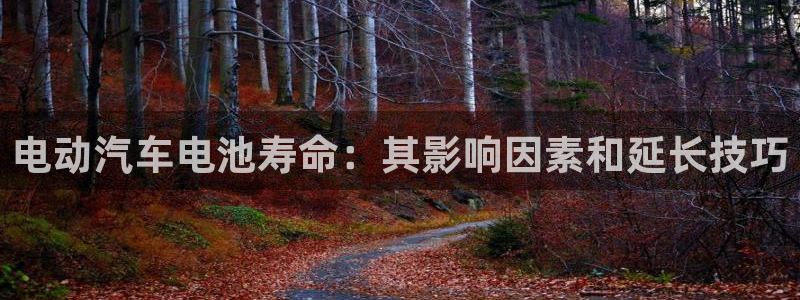 优发国际顶级