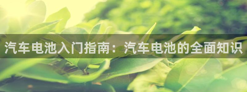 优发国际官网网站入口