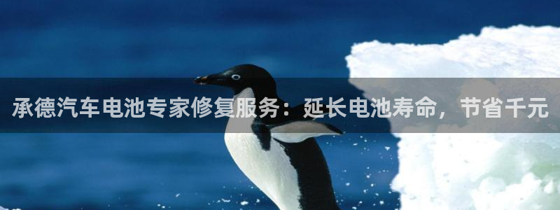 优发国际手机app下载安装