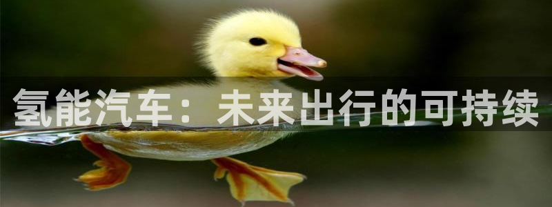 优发国际vip网址