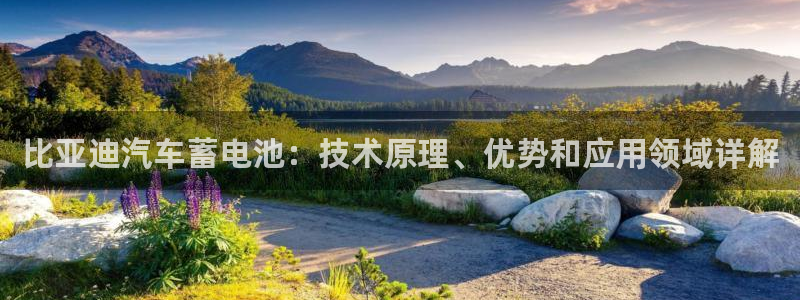 优发国际网官网17k8