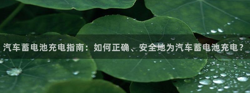 优发国际官网手机版下载