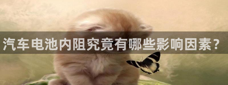 优发国际平台网站