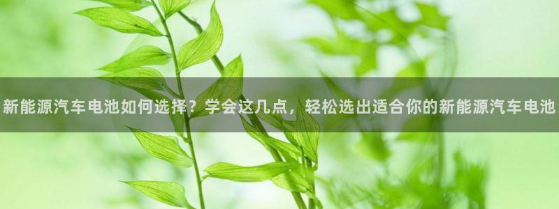 优发国际的网站是