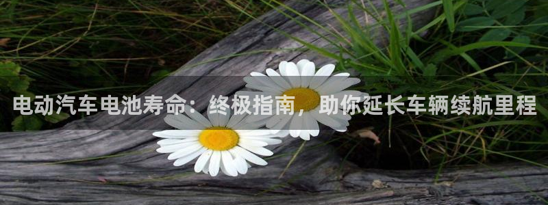 优发国际官网下载安装手机版