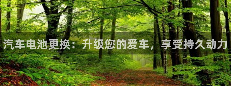 优发国际游戏n
