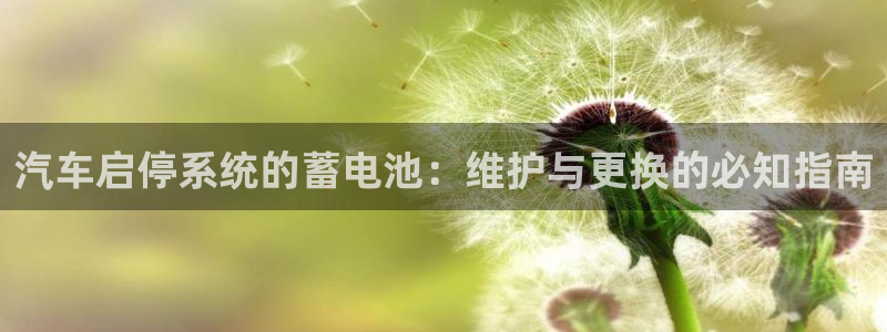 优发国际手机客户端怎么下载