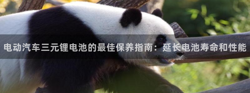 优发国际不出款怎么办